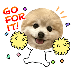 Mon Everyday Feelings