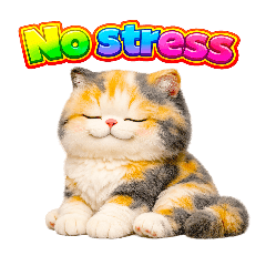 แมวอ้วนขนฟู ตอบแชททุกวัน