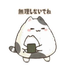 cocomaruru_20260127170816