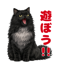 kakanon_20260127144923