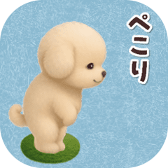 動く★かわいいトイプードル