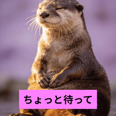 Cute Otter Stickers for Friends
