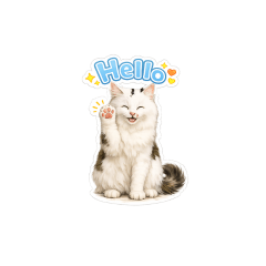 Cute Cats Express Your Feelings