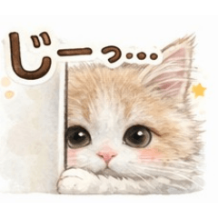 YUKA_20260127214705