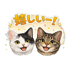 白黒猫とキジ白猫の日常