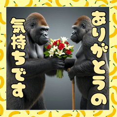 毎年使える。【敬老の日】に感謝するゴリラ