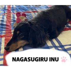 hayate_20260127223410