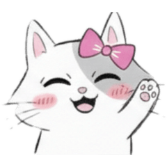 Kk catty eiei