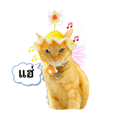 HansaHappy_20260127223703