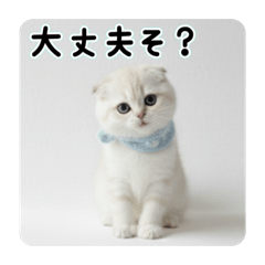 Mary rose25_20260127235304