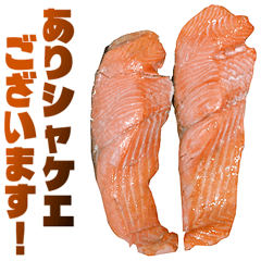 Everyday All season salmon-syake