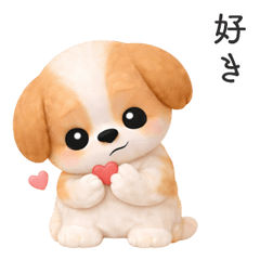 Honest Feelings Shih Tzu