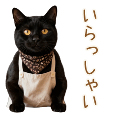 Barista Black Cat Cafe Life