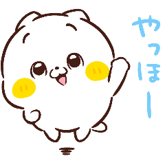 Friends cat WHITE and ROUND