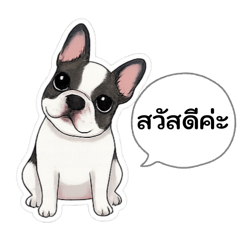 เจ้าหมาคุมะ v.2: เฟรนช์บูลด็อกลายวัว