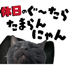 シュールな黒ネッコさん⑯