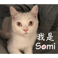 初次見面的Somi