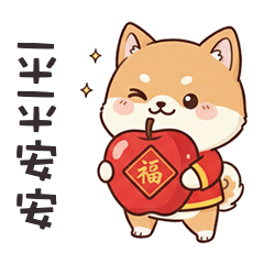 chubby shibainu shibainu 1