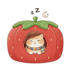 髒髒帽喵 Dirty Hat Cat有點髒、有點暖的貓