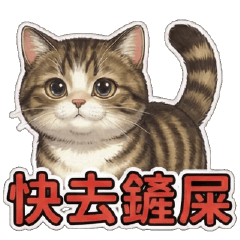 White cat ball I have arrived