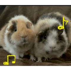 rrrrr_20260128000600