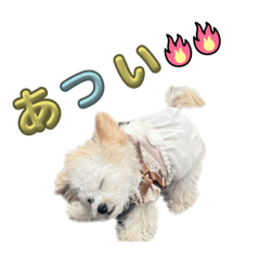 peruru_20260128014235