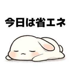 sa_chan_20260128040844