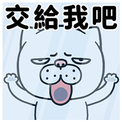 Silent White Cat, Mood Master