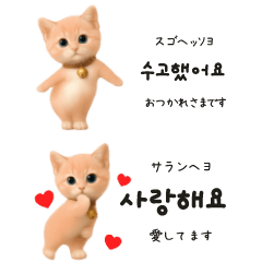 【敬語】ほんわかねこの韓国語♡