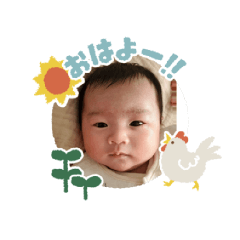 iroiro_20260128095530