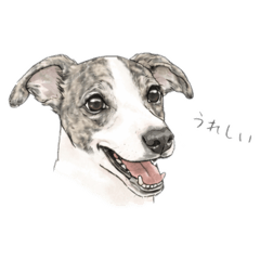 koharu_20260128065923