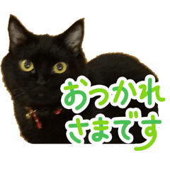 Black cat Nero chan Stamps two