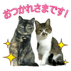 anko,azuki and ohagi's Sticker