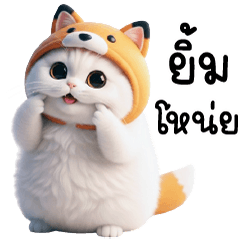 แมวหมวกฟ๊อกซ์