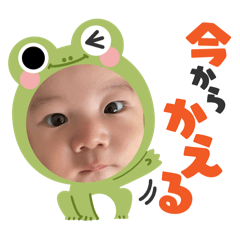 mipopo_20260128121635