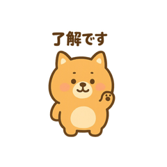 Chorojapan_20260128122121