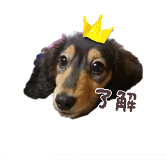 Miyuyu_20260128122953