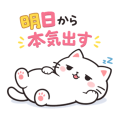 Basic cat greeting 2