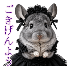 Gothic Lady Chinchilla Daily Life
