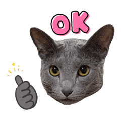 Russian blue cat stamp ver2