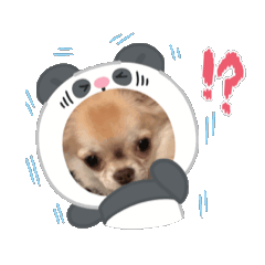 mugi_20260128183822