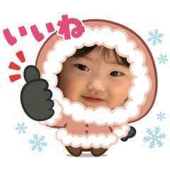 hijiki_20260128185447