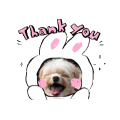 tantan_20260128231821