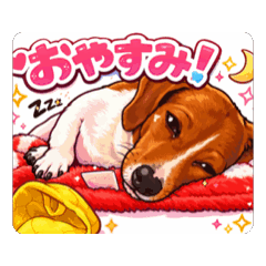 butaman_20260128232906