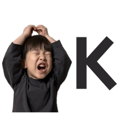 TSUKI_20260127082908