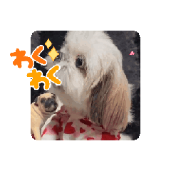 maron & baron_20260128145629