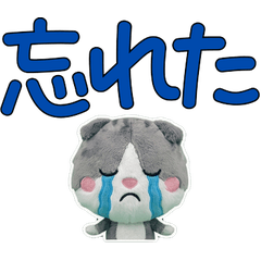 Plush Scottish Fold  9th