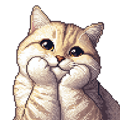 気持ちを伝える 薄茶トラ猫 クリームタビー