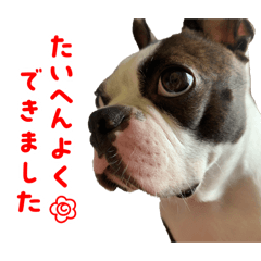 Yamato_20260128204934