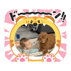 kaneko_20260129024012